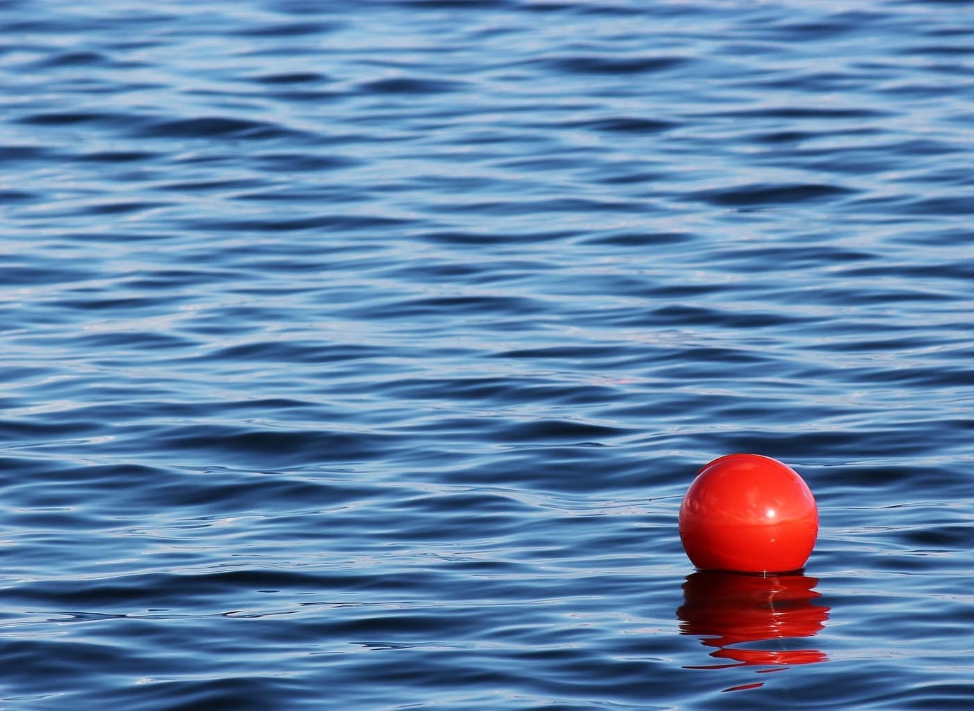 Sjöbod med brygga vid Gottskärs hamn — 4